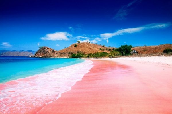 الشاطئ الوردي