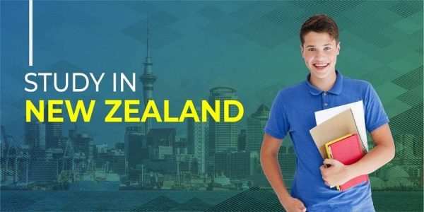 تجربتي في دراسة اللغة في نيوزلندا بالتفصيل
