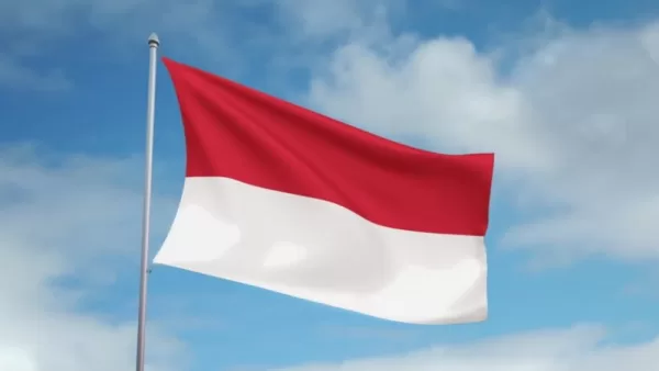 الاستثمار في اندونيسيا